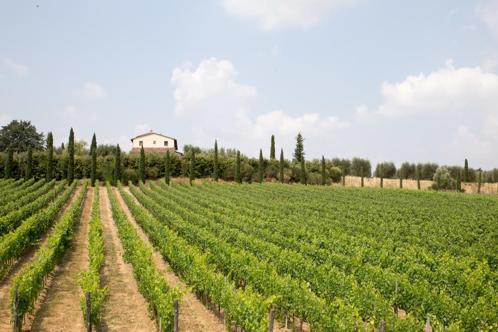 Le Buche Wine Resort&Spa Macciano Экстерьер фото