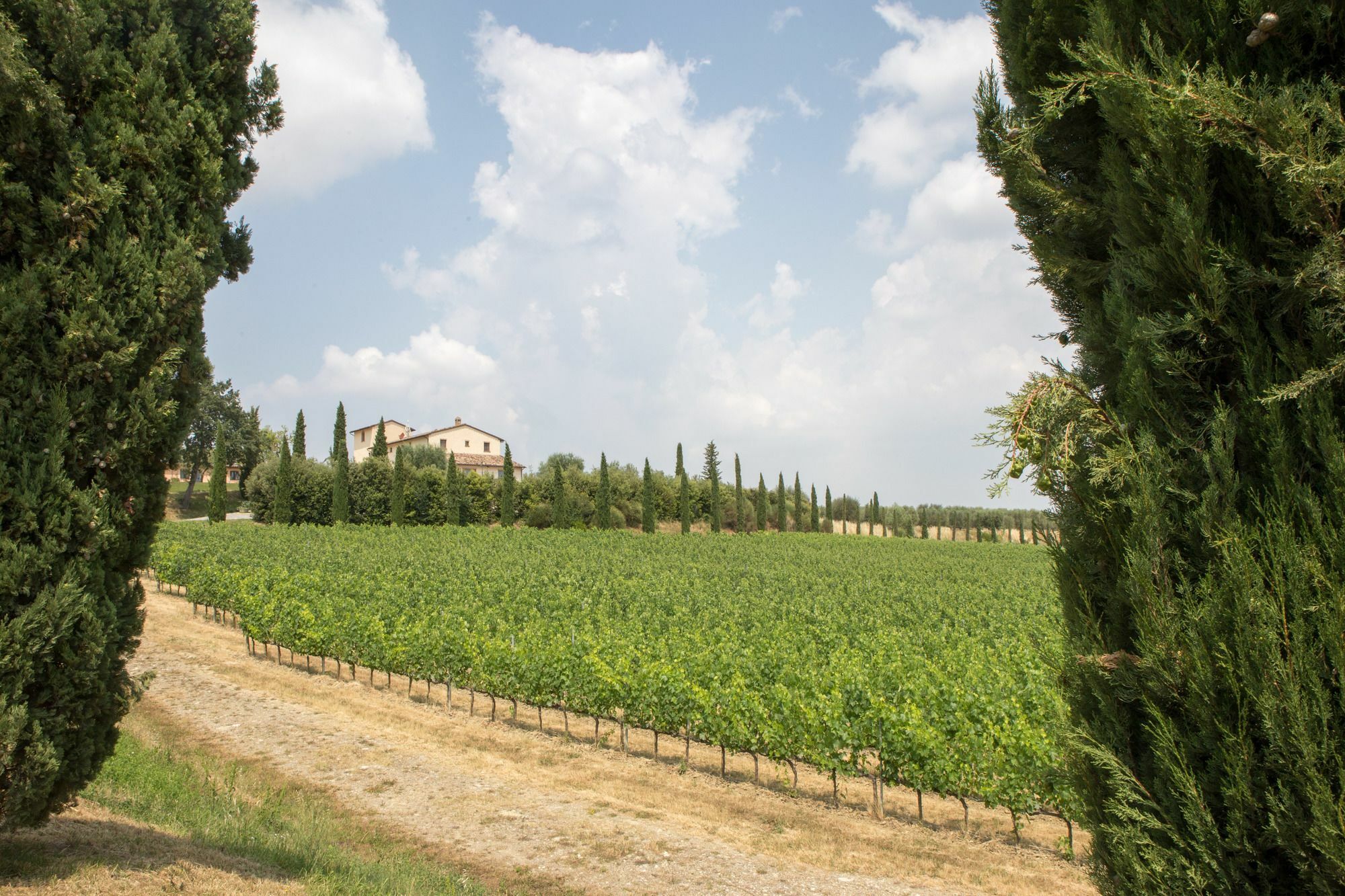 Le Buche Wine Resort&Spa Macciano Экстерьер фото